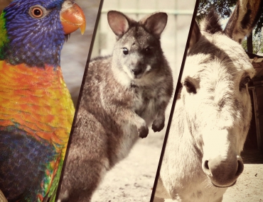 Wir brauchen eure Hilfe